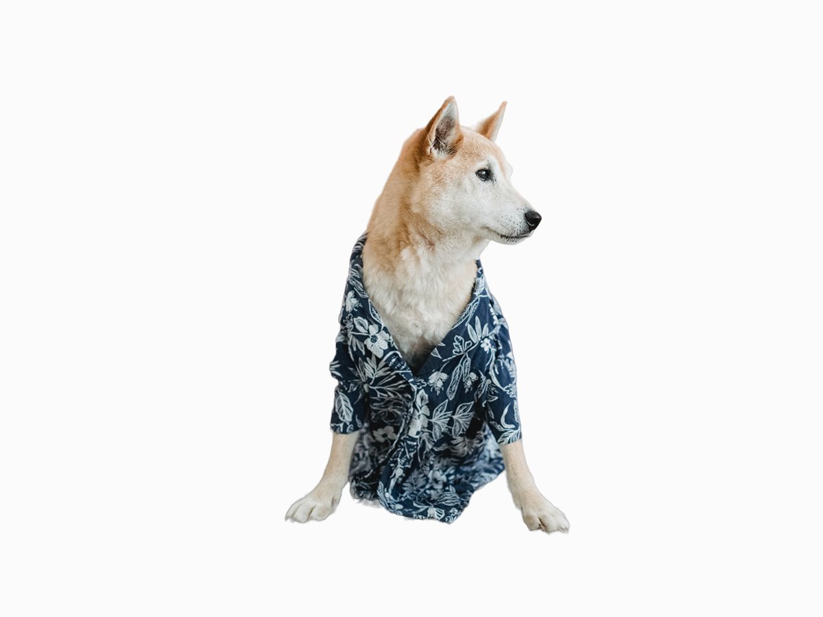 Рубашка для собак "Mc'Dog"